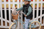 BOBBIN BIKES-Vélo Enfant Gingersnap 16" - Vert Pâle