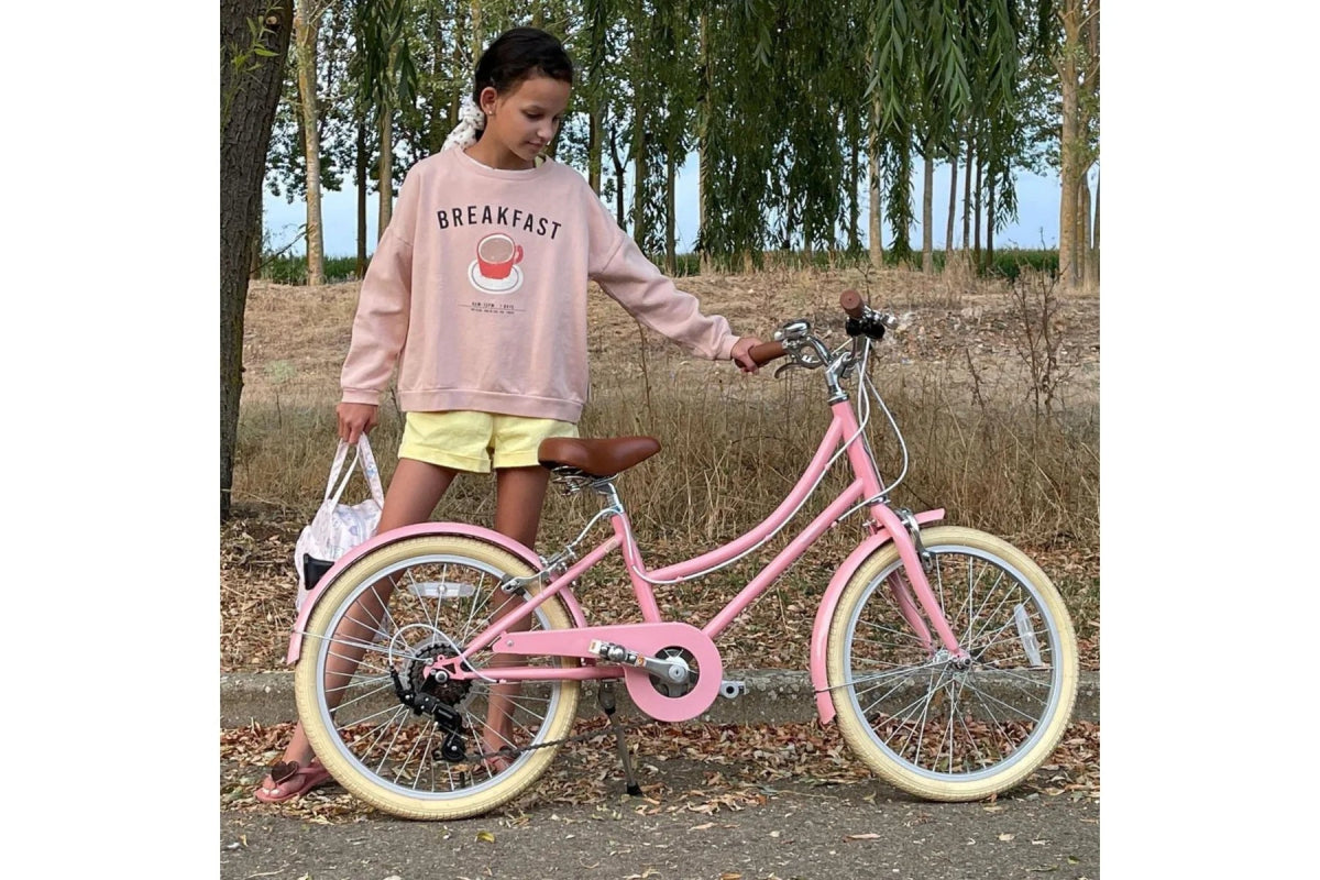 BOBBIN BIKES-Vélo Enfant Gingersnap 20" - Rose