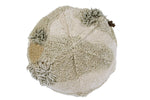 LORENA CANALS-Pouf Mossy Rock