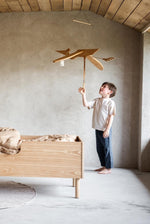 QUAX-Mobile en Bois - Pélican