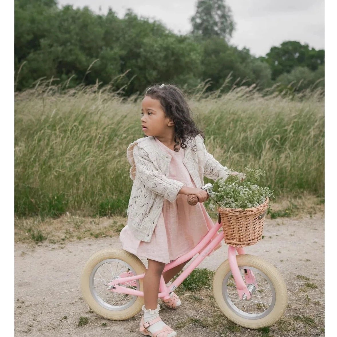 BOBBIN BIKES-Draisienne Gingersnap 12" - Rose Pâle